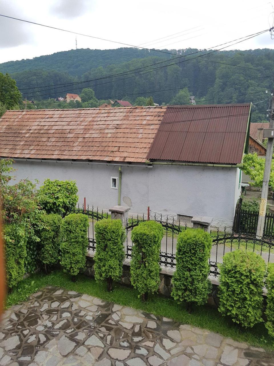 Pensiunea Lorincz *** Panzio Совата Экстерьер фото